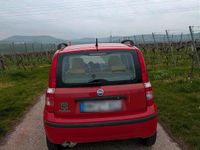 Gebraucht Fiat Panda Dynamic 60 PS (44 kW) 2006 Rot Kleinwagen