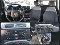 Gebraucht Fiat Panda Easy 86 PS (63 kW) 2020 Weiß Kleinwagen