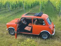Gebraucht Mini 1000 68 PS (50 kW) 1977 Orange Kleinwagen