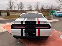 Gebraucht Dodge Challenger SXT 306 PS (225 kW) 2020 Weiß Coupé