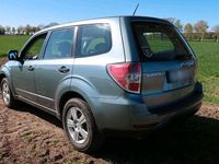 Occasion Subaru Forester 150 ch (110 kW) 2008 Vert SUV