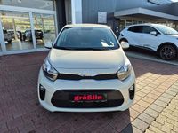 Gebraucht Kia Picanto Vision 67 PS (49 kW) 2024 Beige Kleinwagen