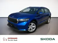 Gebraucht Skoda Enyaq iV Ambiente 132 kW (180 PS) 2024 Raceblau SUV