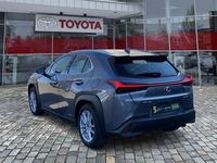 Gebraucht Lexus UX 199 PS (146 kW) 2019 Grau SUV