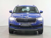 Gebraucht Skoda Kodiaq Ambiente 150 PS (110 kW) 2023 Blau SUV