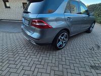 Gebraucht Mercedes ML350 258 PS (189 kW) 2013 Grau SUV