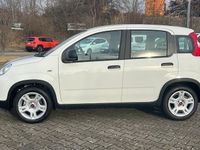Gebraucht Fiat Panda 70 PS (51 kW) 2024 Weiß Kleinwagen