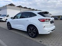 Gebraucht Ford Kuga ST-Line 150 PS (110 kW) 2023 Frostweiß SUV