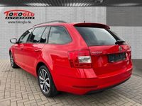 gebraucht Skoda Octavia 1.6 DPF Combi Drive 1,6 TDI NAVI GARANTIE AHK Sperrdiff. ACC Apple CarPlay Android Auto