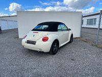 gebraucht VW Beetle NewCabriolet 2.0 Highline + SHZ + 8-Fach