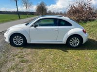 gebraucht VW Beetle 1,2 TSI Schräghecklimousine