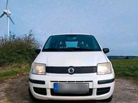 gebraucht Fiat Panda 1.1 TÜV 54ps weiß So+ Wi Reifen Felgen fahrtauglich