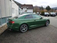 Gebraucht Audi S5 Ambiente 341 PS (250 kW) 2023 Grün Coupé