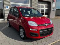 Neu Fiat Panda 69 PS (50 kW) 2025 Rot Kleinwagen