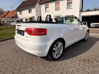 Gebraucht Audi A3 Cabriolet Ambition 125 PS (91 kW) 2012 Weiß Cabrio