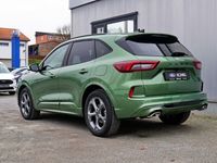 Gebraucht Ford Kuga ST-Line 151 PS (111 kW) 2024 Grün SUV
