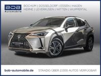 Usado Lexus UX 250h 184 CV (135 kW) 2021 Gris SUV
