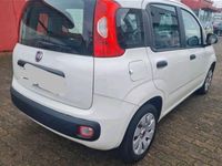 Gebraucht Fiat Panda 69 PS (50 kW) 2012 Weiß Limousine