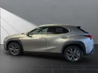 Gebraucht Lexus UX Sport Line 184 PS (135 kW) 2025 Silber SUV