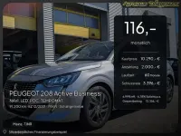 Gebraucht Peugeot 208 Active 130 PS (95 kW) 2021 Grau artense (metallic) Kleinwagen