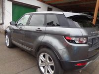 Gebraucht Land Rover Range Rover evoque Pure 150 PS (110 kW) 2014 Grau SUV