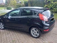 Gebraucht Ford Fiesta Trend 101 PS (74 kW) 2015 Schwarz Kleinwagen