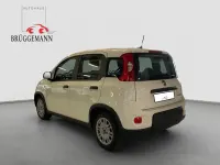 Gebraucht Fiat Panda Tech 69 PS (50 kW) 2023 Weiß Kleinwagen