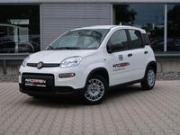 Gebraucht Fiat Panda S 69 PS (50 kW) 2025 Alpine white Kleinwagen