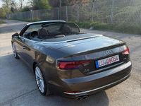 Gebraucht Audi A5 Cabriolet 286 PS (210 kW) 2019 Braun Cabrio
