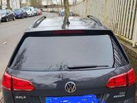 Gebraucht VW Golf Alltrack 110 PS (80 kW) 2015 Kombi