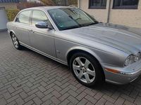 Gebraucht Jaguar XJ8 Executive 298 PS (219 kW) 2006 Grau Limousine