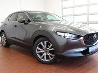 Gebraucht Mazda CX-30 Selection 116 PS (85 kW) 2019 Machine gray SUV