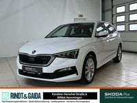 Gebraucht Skoda Scala Clever 110 PS (80 kW) 2022 Weiß Kleinwagen