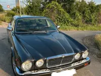Gebraucht Jaguar XJ12 Sovereign 295 PS (216 kW) 1985 Grau Limousine