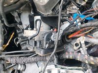 gebraucht VW Multivan t6.12,0tdi 150ps DSG Unfall ohne sitze NETTO 8400€