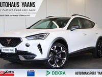 Gebraucht Cupra Formentor 150 PS (110 kW) 2023 Weiß SUV