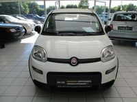 Gebraucht Fiat Panda 69 PS (50 kW) 2024 Weiß Kleinwagen