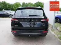 Neu Skoda Karoq Selection 150 PS (110 kW) 2026 Andere SUV