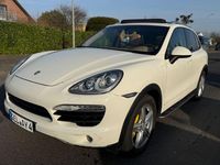 Gebraucht Porsche Cayenne 239 PS (175 kW) 2011 Weiß SUV