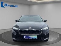 Gebraucht Skoda Scala Selection 116 PS (85 kW) 2026 Blau Kleinwagen