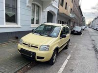 Gebraucht Fiat Panda 4x4 Climbing 60 PS (44 kW) 2009 Kleinwagen
