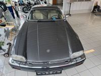 Gebraucht Jaguar XJS 295 PS (216 kW) 1985 Grau