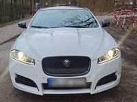Gebraucht Jaguar XF 275 PS (202 kW) 2014 Weiß Limousine