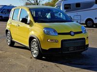 Gebraucht Fiat Panda 69 PS (50 kW) 2024 Gelb Kleinwagen