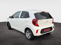 Gebraucht Kia Picanto Vision 67 PS (49 kW) 2024 Weiß Kleinwagen