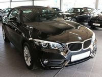 gebraucht BMW 218 218 i Cabrio Advantage Driving Assistent + R-Kam