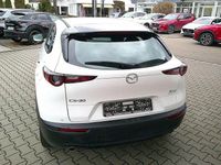 Gebraucht Mazda CX-30 Selection 150 PS (110 kW) 2023 Weiß SUV