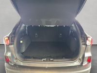Gebraucht Ford Kuga ST-Line X 150 PS (110 kW) 2023 Grau SUV