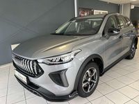 Neu Haval Jolion Premium 177 PS (130 kW) 2026 C2 light ayers grey SUV