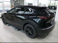 Neu Mazda CX-30 Nagisa 140 PS (102 kW) 2026 SUV